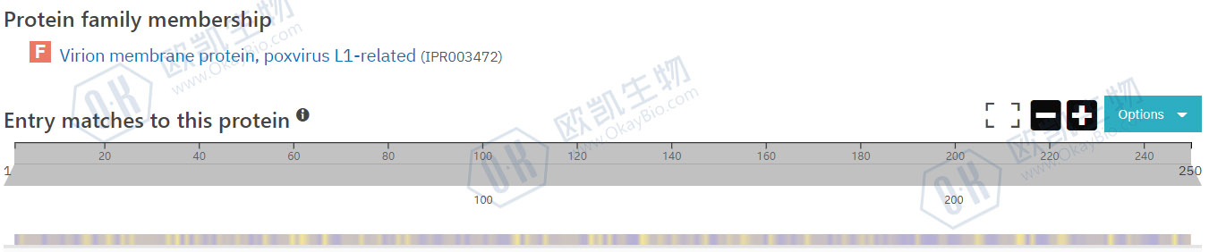IEV and EEV Surface Membrane Proteins