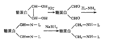 過(guò)碘酸鹽氧化結(jié)合法 過(guò)碘酸鹽氧化結(jié)合法