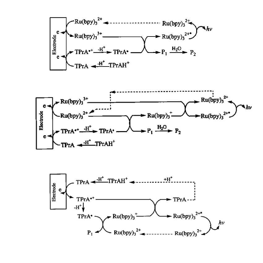 還原氧化型ECL的三種反應(yīng)過(guò)程