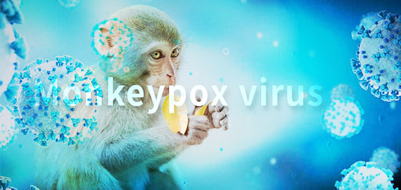 SingleB猴痘項(xiàng)目大顯身手，近100株抗體火速上新！